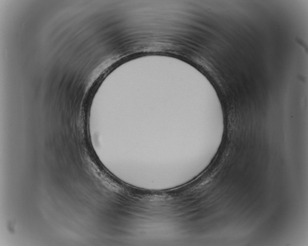 X0000100841122200807111145