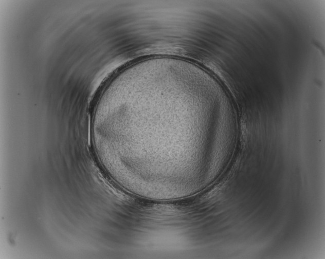 X0000100841123200807111145