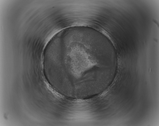 X0000100841124200807111145