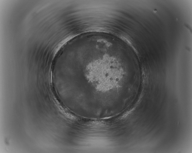 X0000100841125200807111145