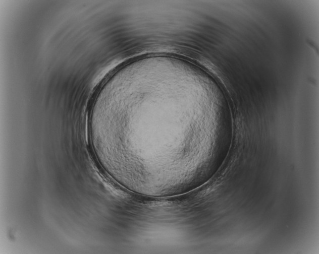 X0000100841127200807111145