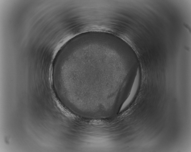 X0000100841128200807111145