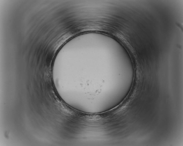 X0000100841129200807111145