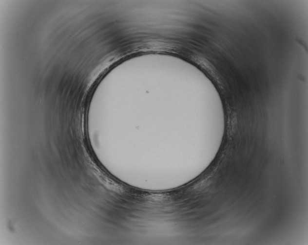 X0000100841130200807111145