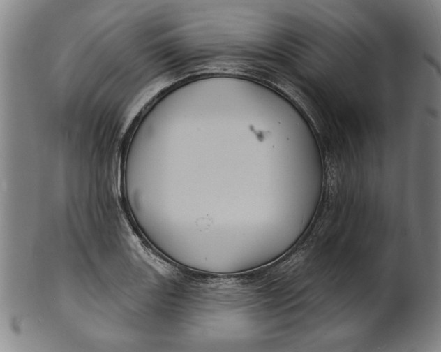 X0000100841131200807111145