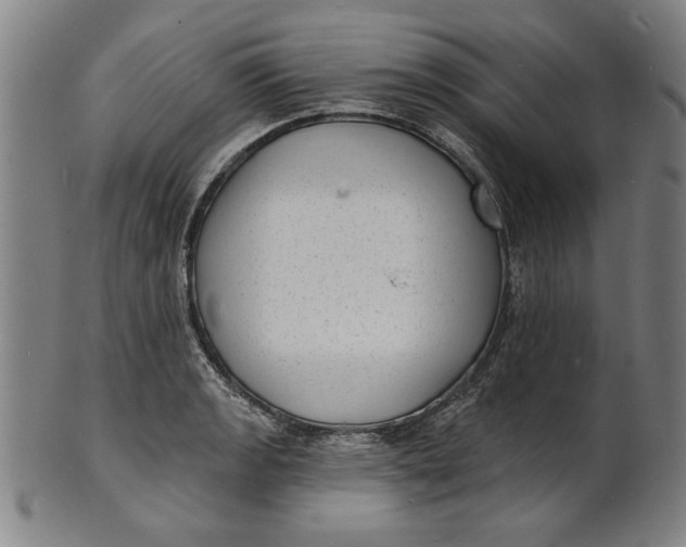 X0000100841133200807111145