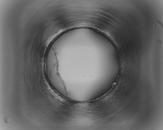 X0000100841134200807111145