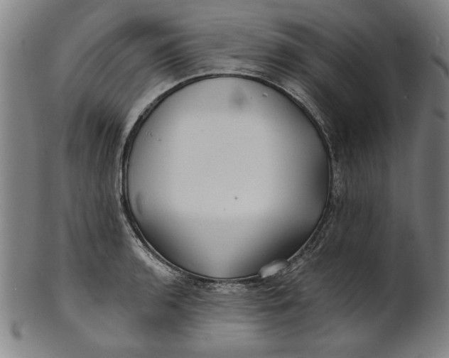 X0000100841136200807111145