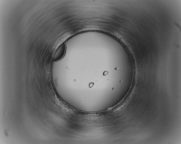 X0000100841137200807111145