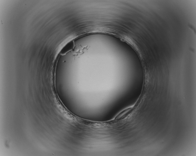 X0000100841138200807111145