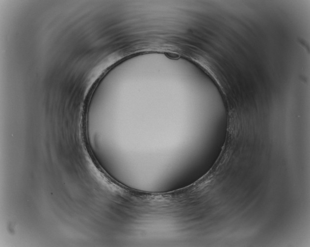 X0000100841139200807111145