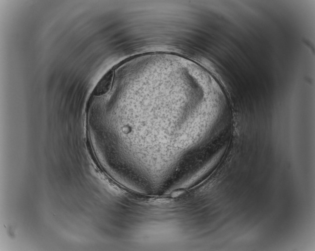 X0000100841140200807111145