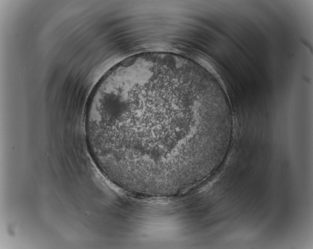 X0000100841141200807111145