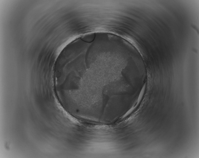 X0000100841142200807111145