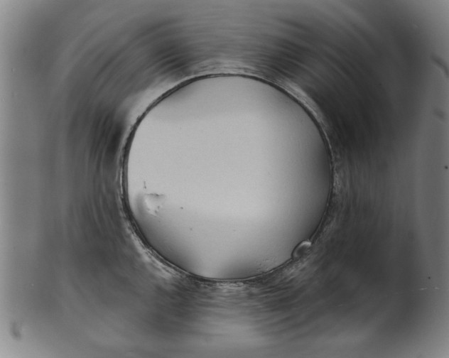 X0000100841144200807111145