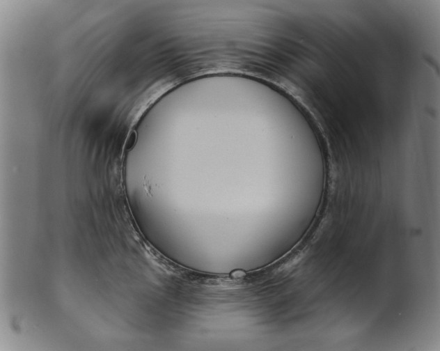 X0000100841145200807111145