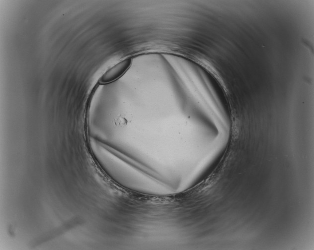 X0000100841146200807111145