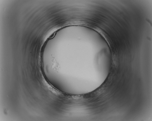 X0000100841147200807111145