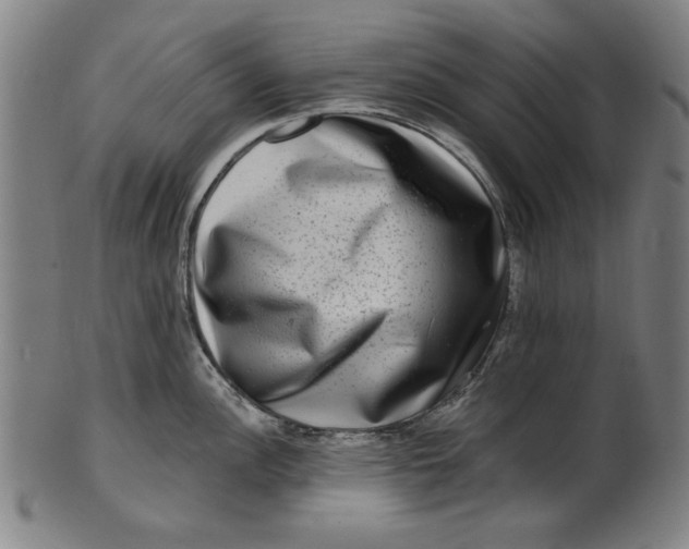 X0000100841148200807111145