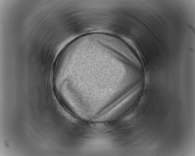 X0000100841149200807111145