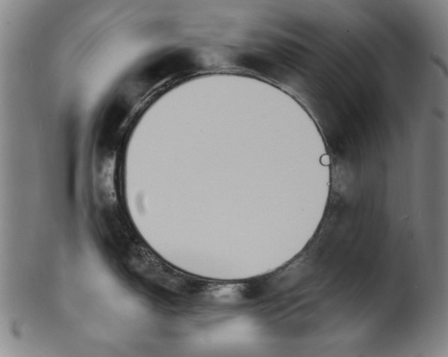 X0000100841150200807111145