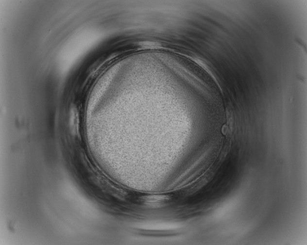 X0000100841151200807111145