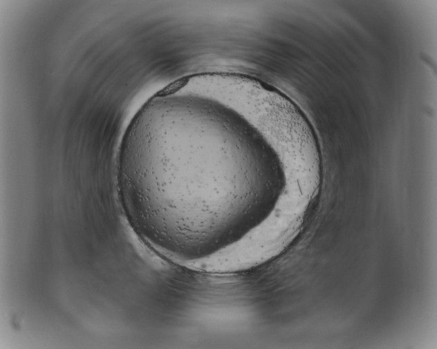 X0000100841152200807111145