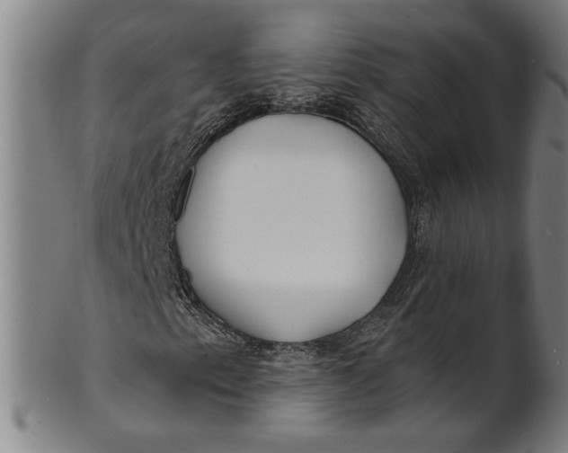 X0000100841153200807111144