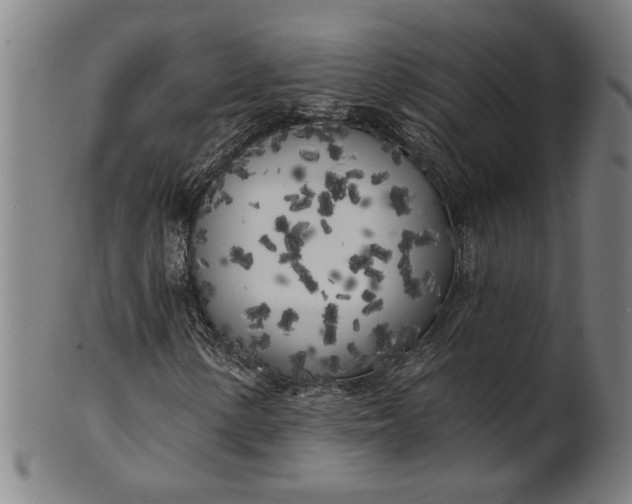 X0000100841154200807111144