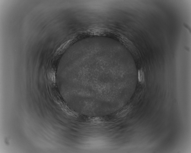 X0000100841155200807111144