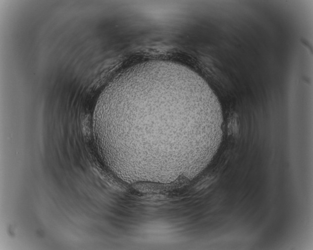 X0000100841156200807111144