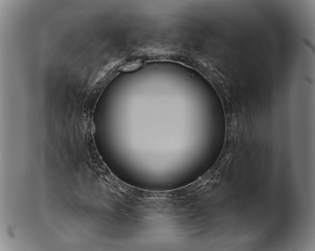 X0000100841157200807111144