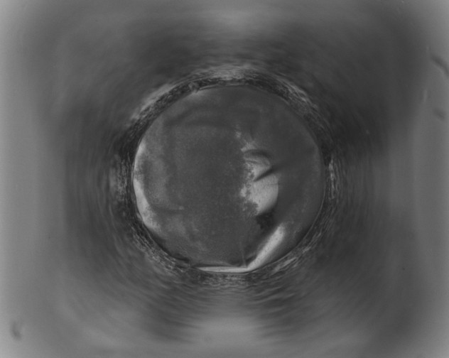 X0000100841158200807111144