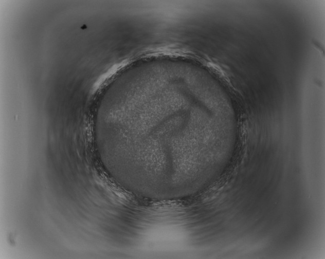 X0000100841159200807111144