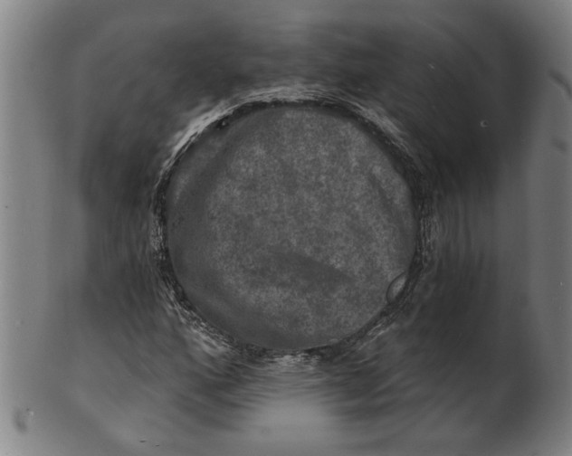 X0000100841160200807111144