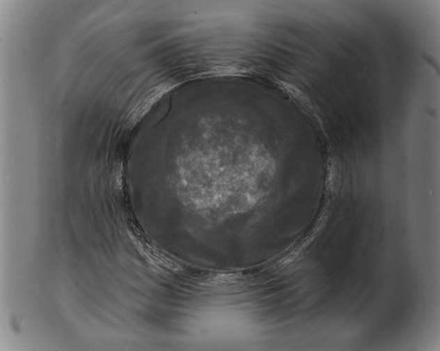 X0000100841161200807111144