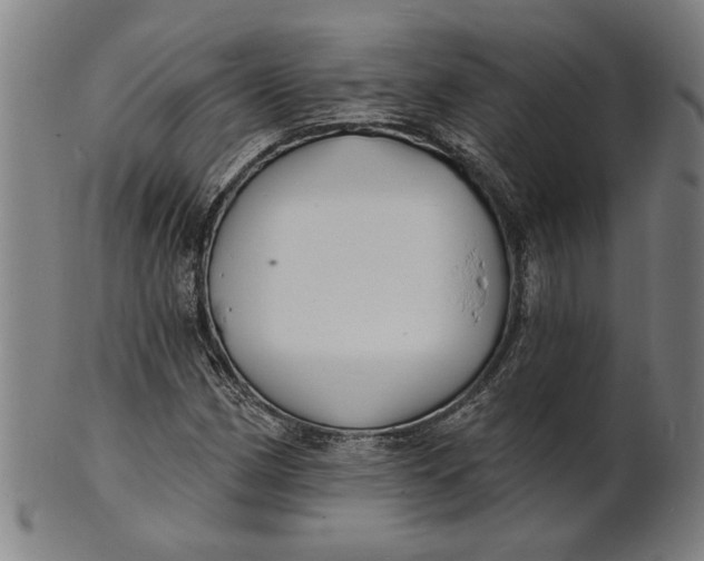 X0000100841162200807111144