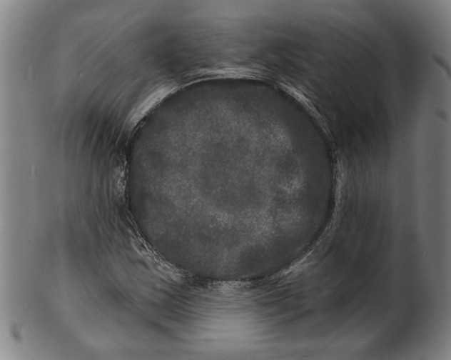 X0000100841163200807111144