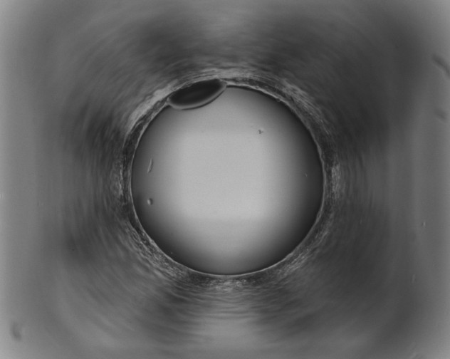 X0000100841165200807111144