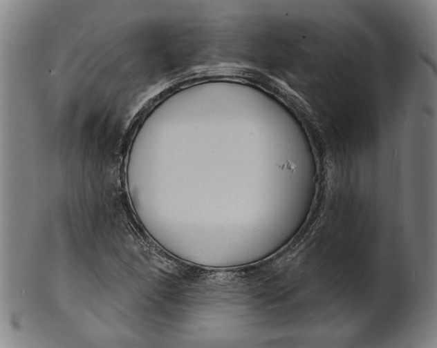 X0000100841166200807111144