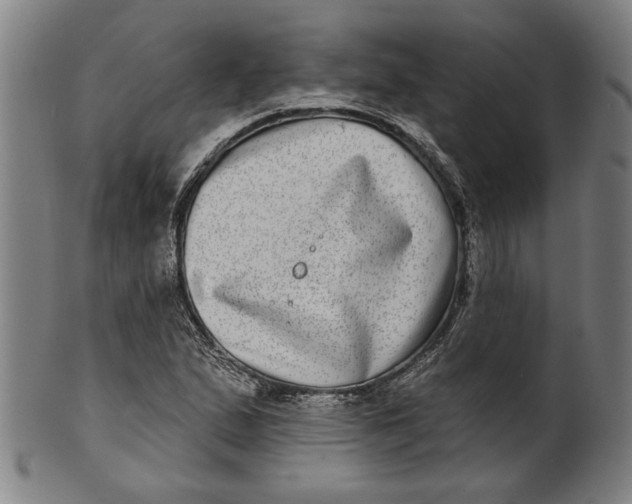 X0000100841167200807111144