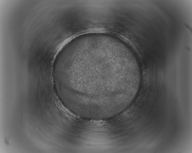 X0000100841168200807111144