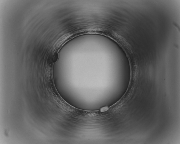 X0000100841169200807111144