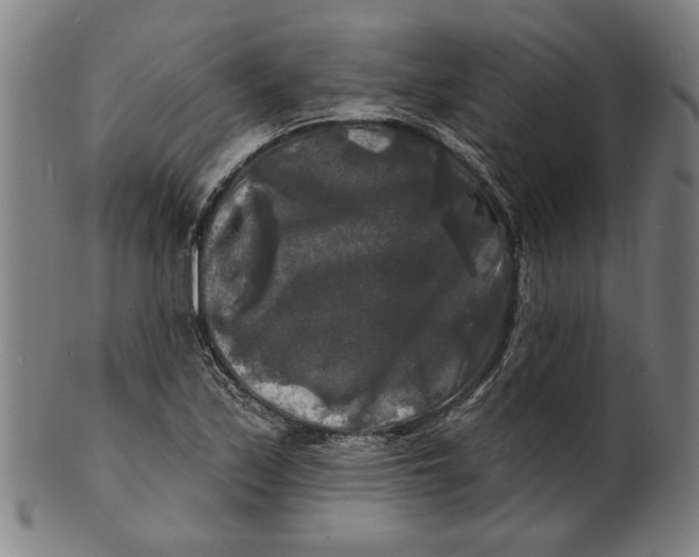 X0000100841171200807111144