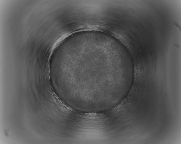 X0000100841172200807111144