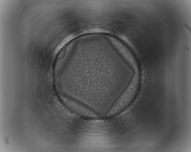 X0000100841173200807111144