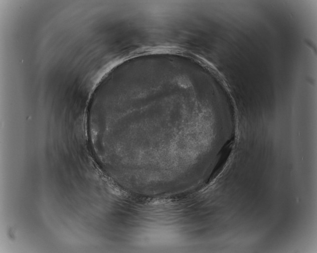 X0000100841174200807111144