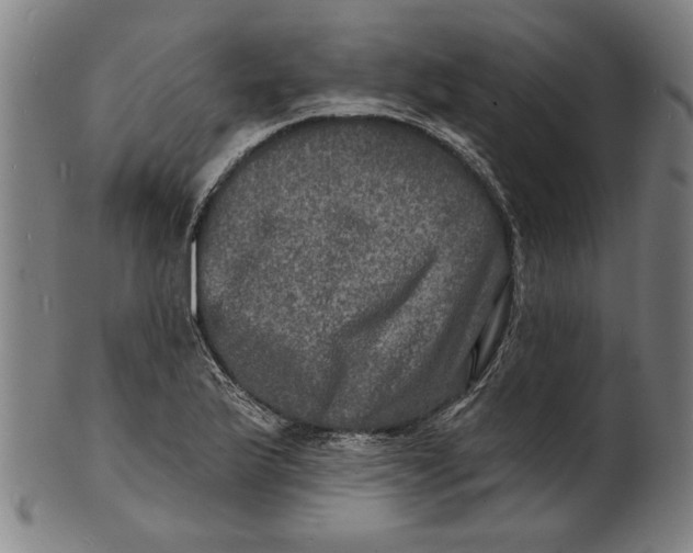 X0000100841175200807111144