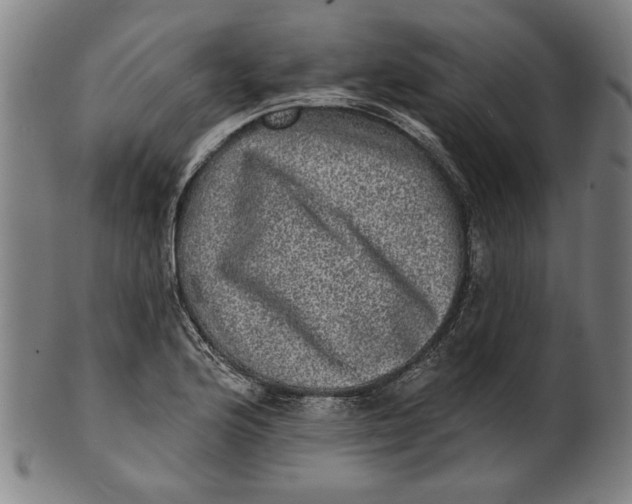 X0000100841176200807111144