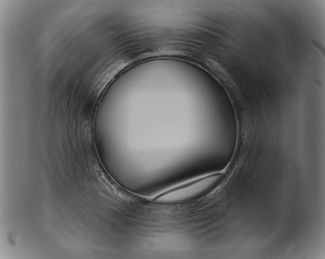 X0000100841177200807111144